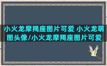 小火龙摩羯座图片可爱 小火龙萌图头像/小火龙摩羯座图片可爱 小火龙萌图头像-我的网站